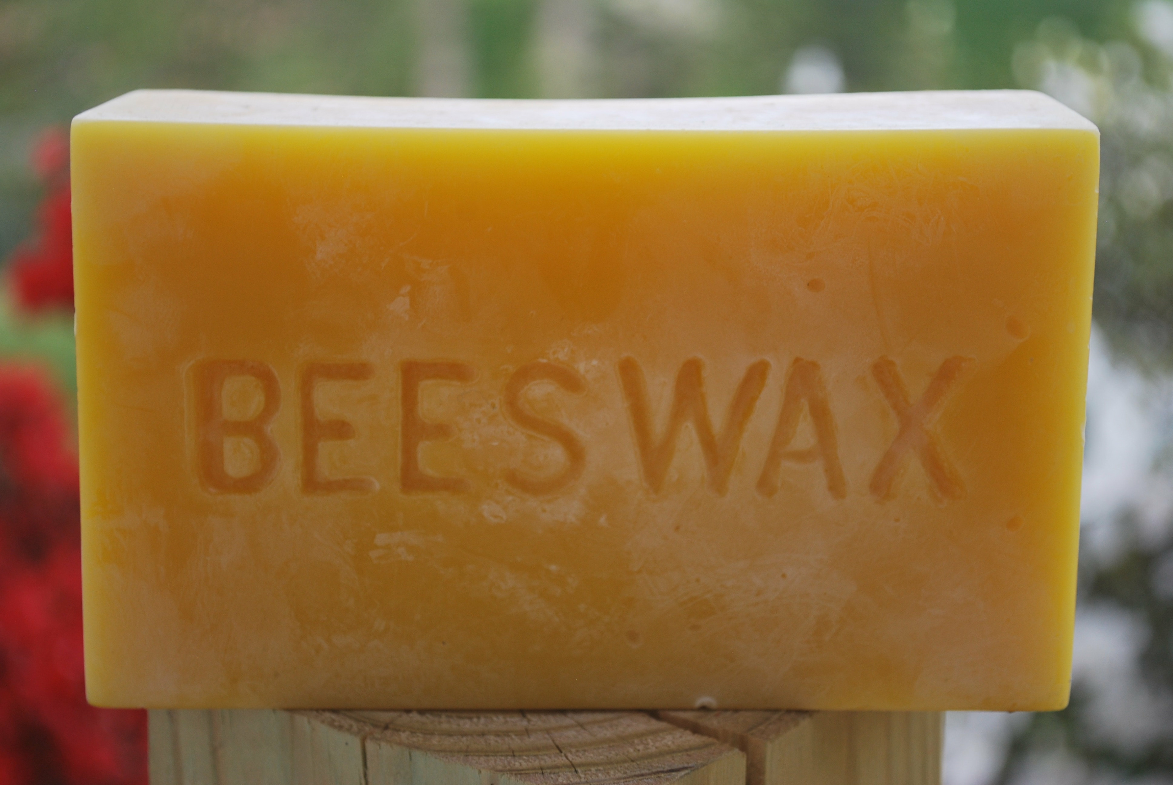 Beeswax bar 1lb - Store - Royal Alaskan Honey
